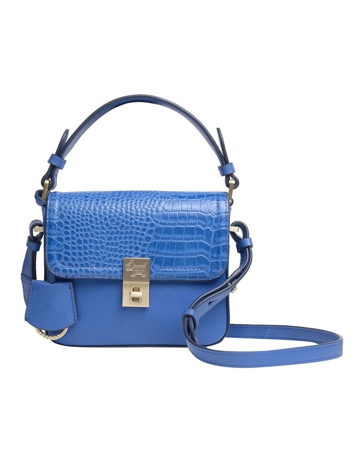 radley bag strap