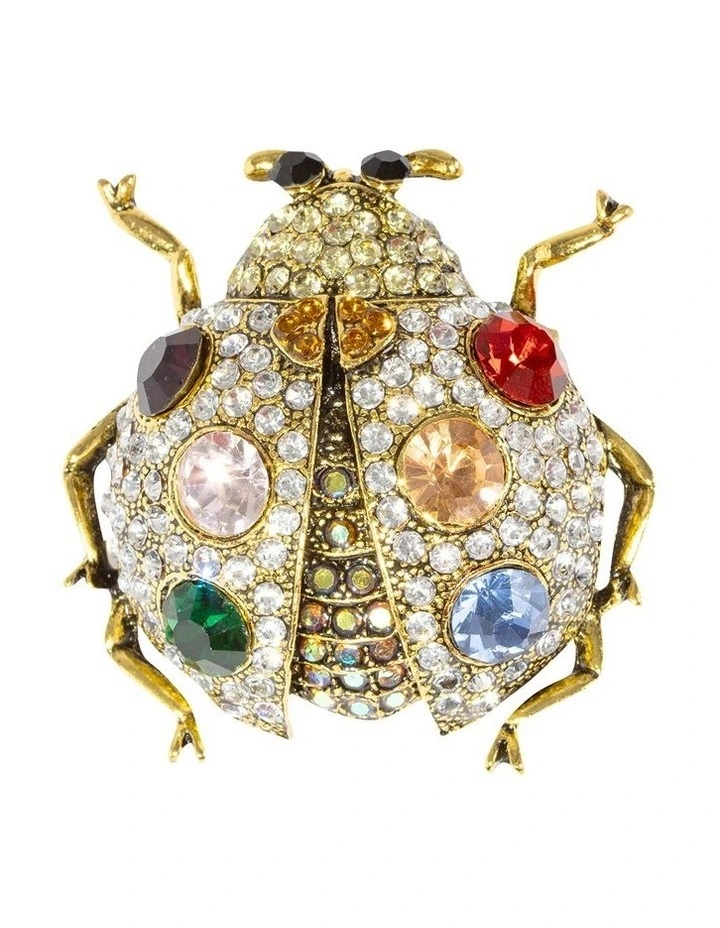 Bejewelled Ladybug Brooch in Multi image 1