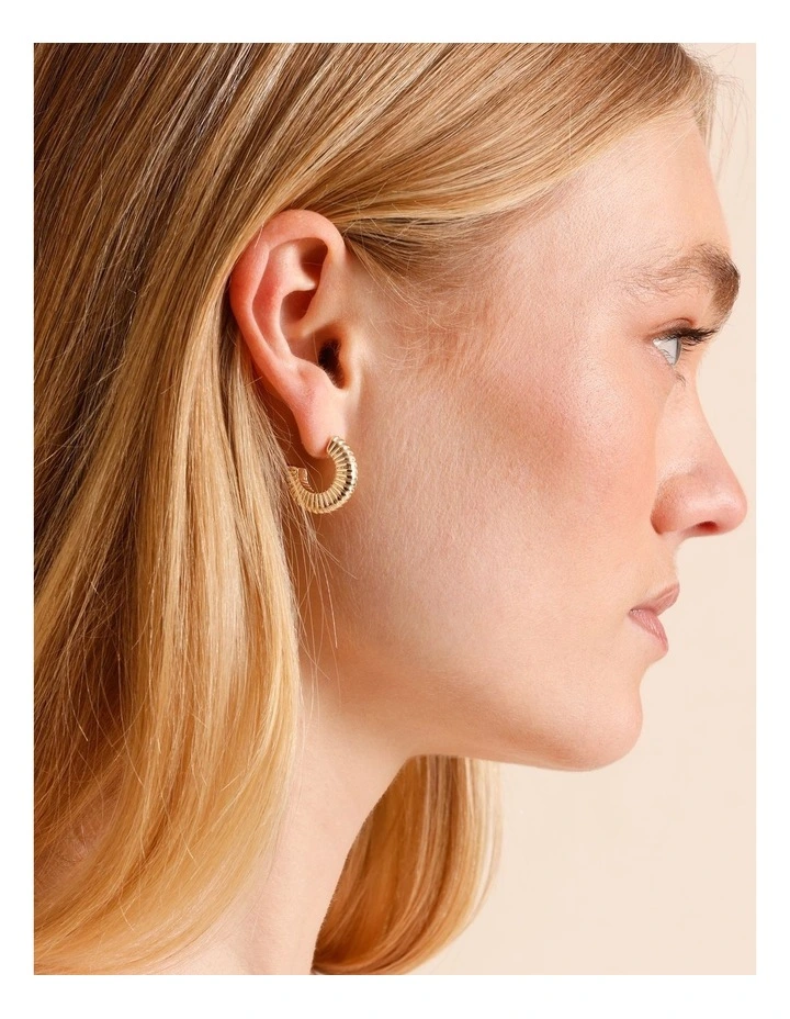 2pk Mini Hoop Earring in Gold image 2