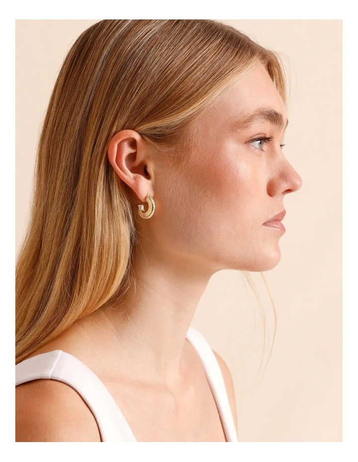 2pk Mini Hoop Earring in Gold image 4