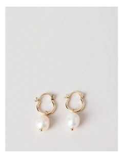 Freshwater Pearl Earring in Gold
