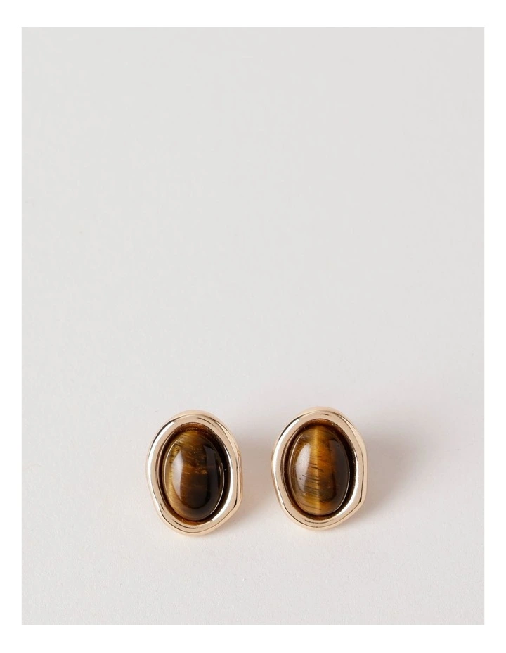 Amber Stone Earrings in Brown image 1