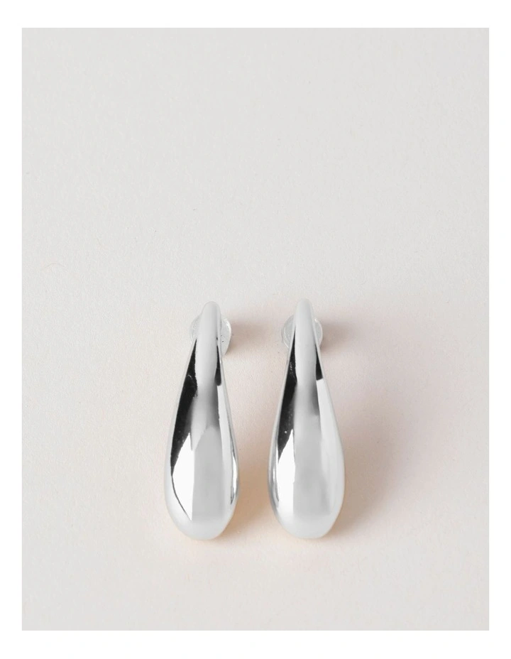 Drop Earrings in Silver image 1