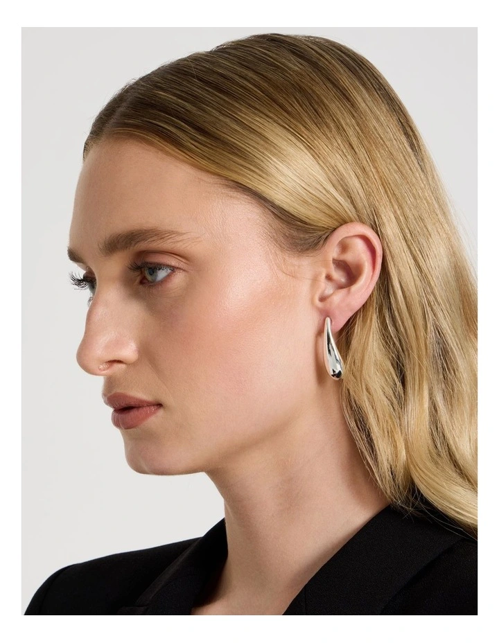 Drop Earrings in Silver image 2