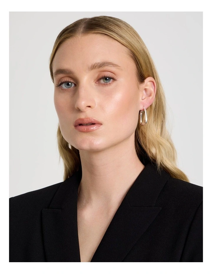 Hoops in Silver image 2