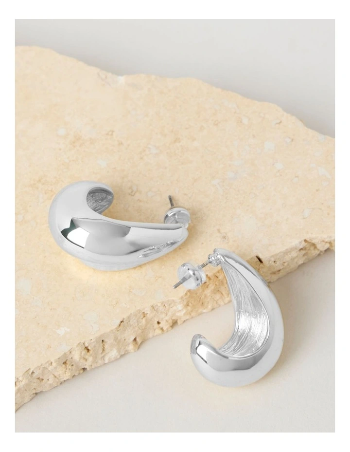 Drop Earrings in Silver image 1