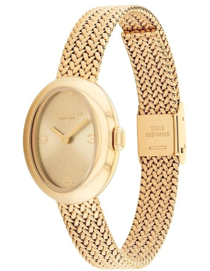Sammy Ionic Plated Thin Steel Dial Watch 14504567 in Gold image 2
