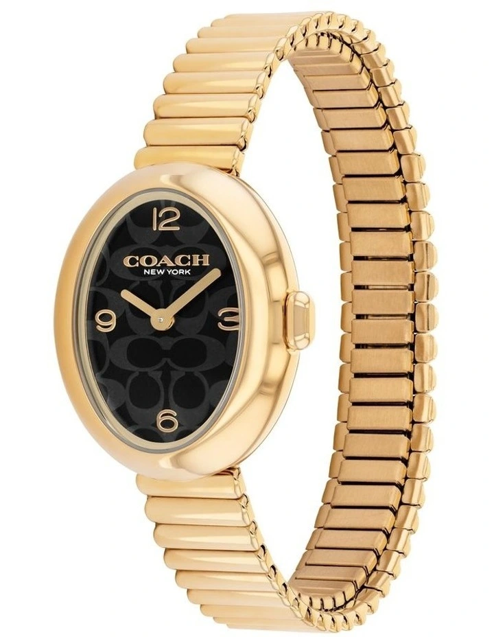 Sammy Ionic Plated Steel Watch 14504571 in Black image 2
