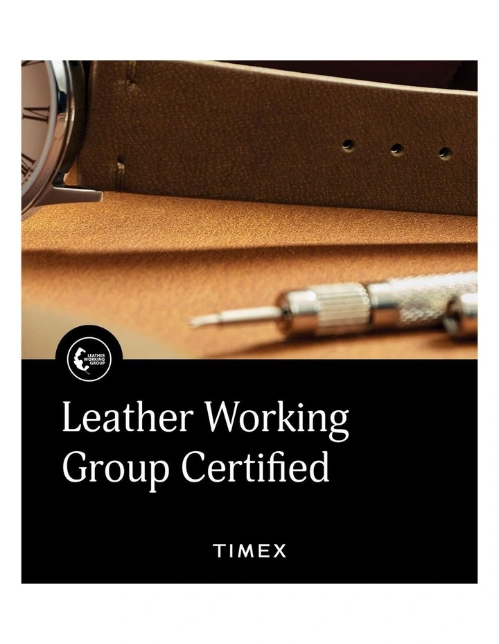 Chicago Leather Chrono Watch TW2U39000 in Tan image 7