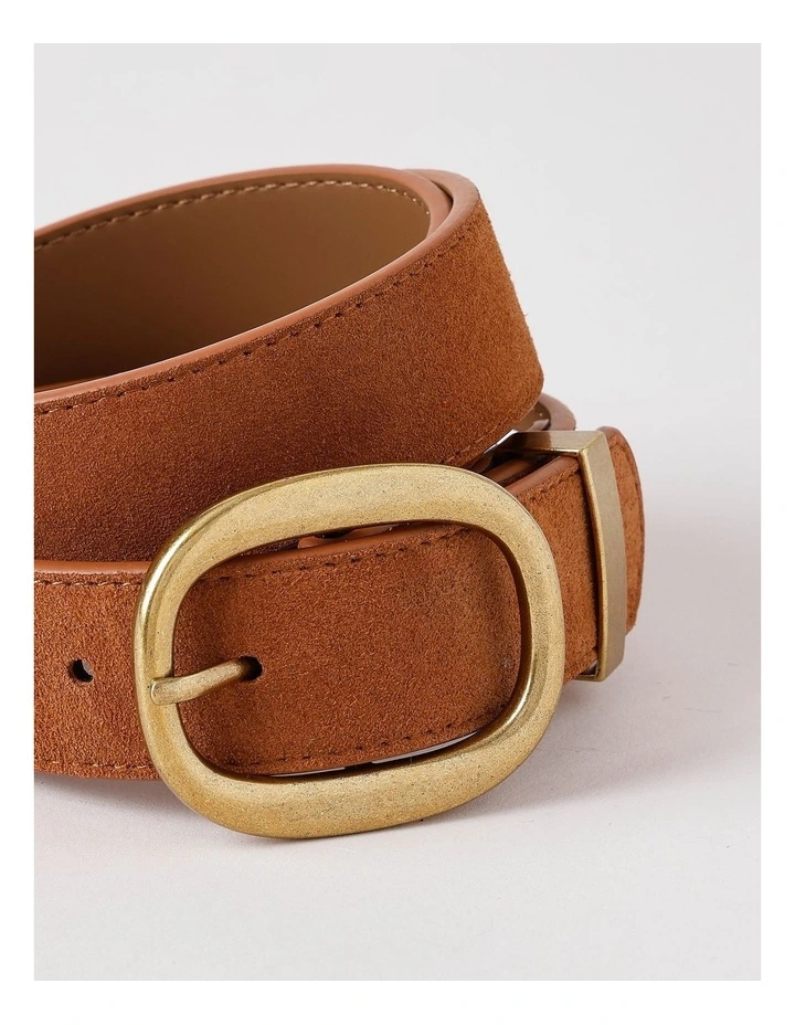 Emery Suede Belt in Tan image 3