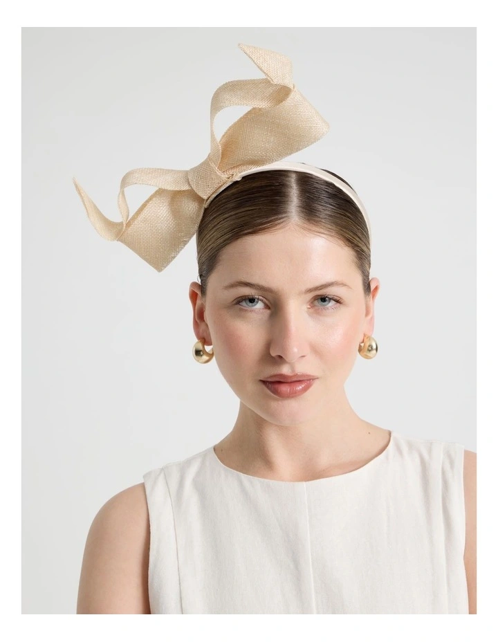 Fascinator in Natural image 2