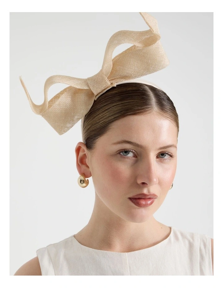 Fascinator in Natural image 4