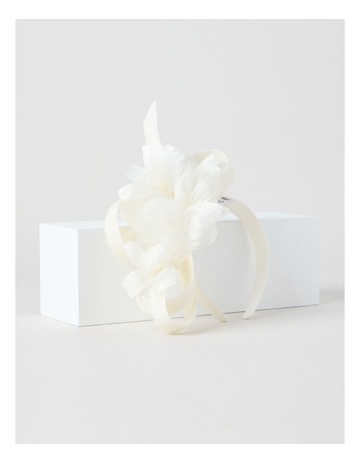 Ivory colour