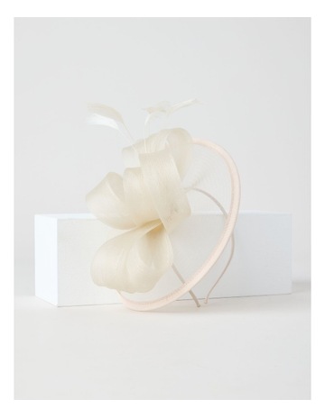 Ivory colour