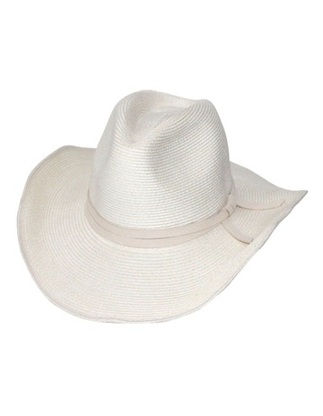 Ivory colour