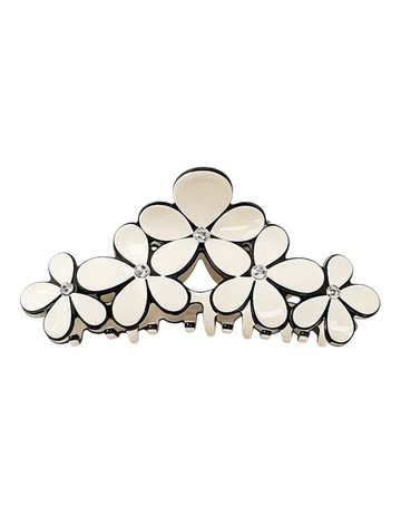Ivory colour