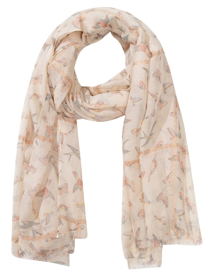 Myer womens scarves clearance
