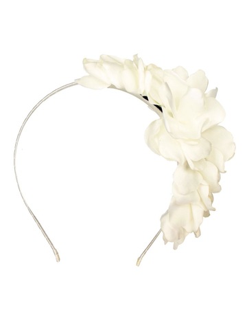 Ivory colour