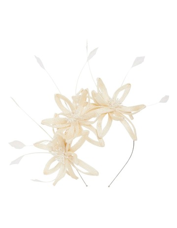 Ivory colour