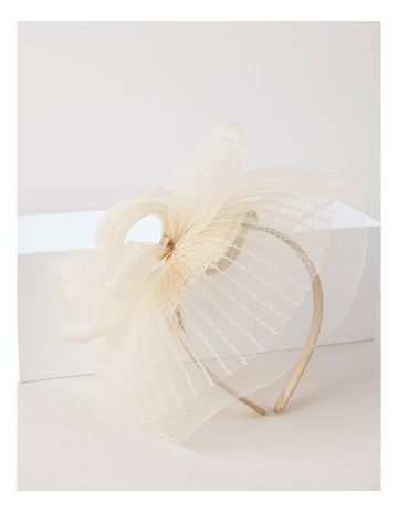 Ivory colour