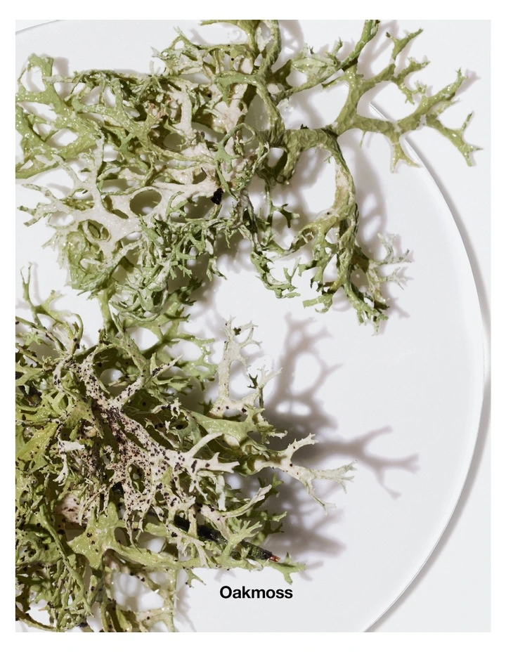 Aromatics Elixir Perfume Spray image 3