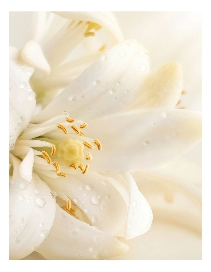 Glimmer Shower Gel 200ml image 5