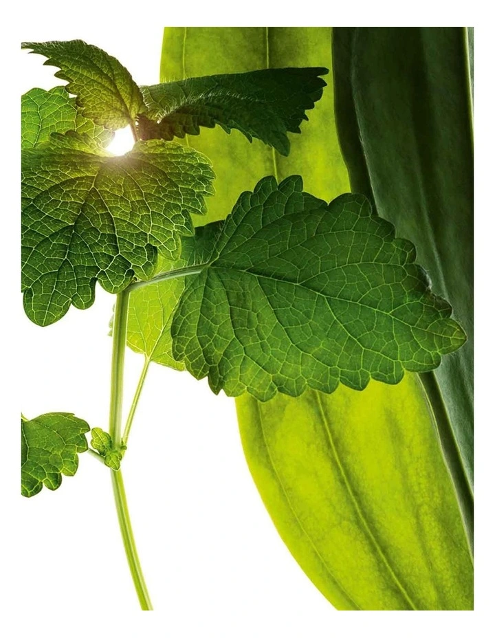 Velvet Cleansing Milk 100ml image 4