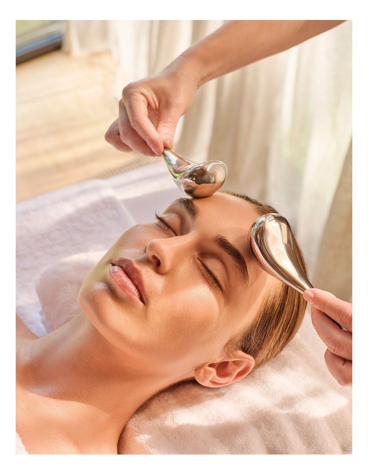 Herbal Recovery Facial image 1