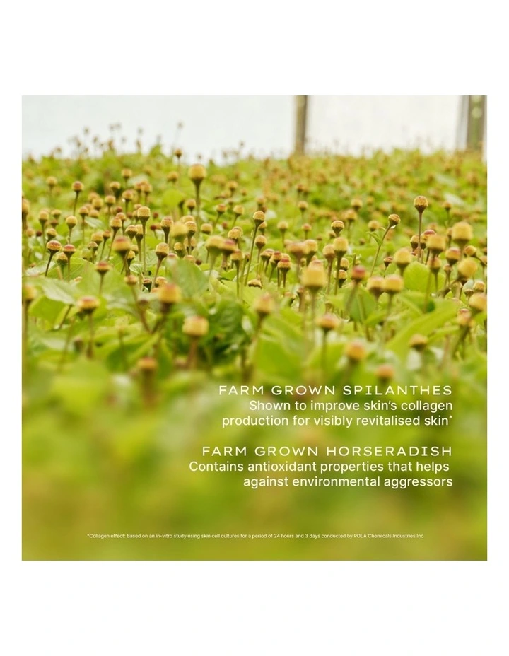 Nutri-Define Supreme Rejuvenating Serum image 5