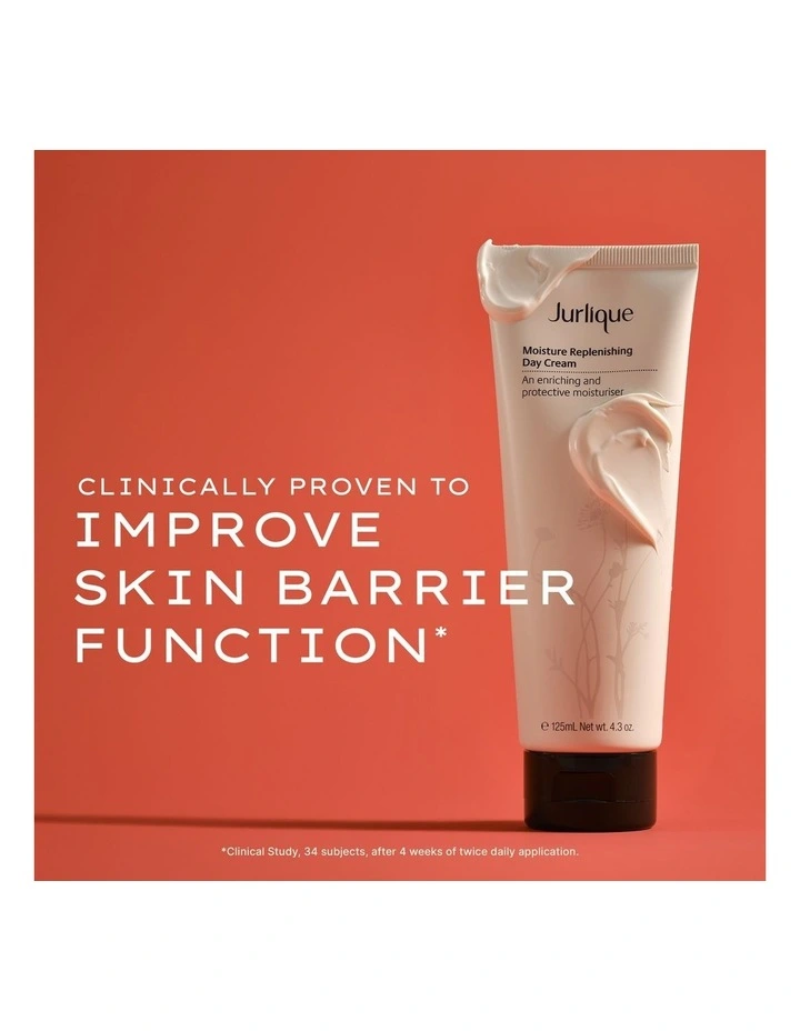 Moisture Replenishing Day Cream image 3