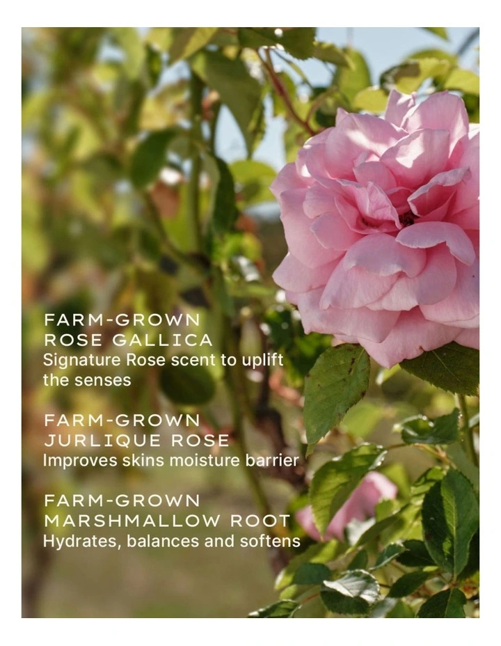 Rare Rose Lotion 50ml image 4