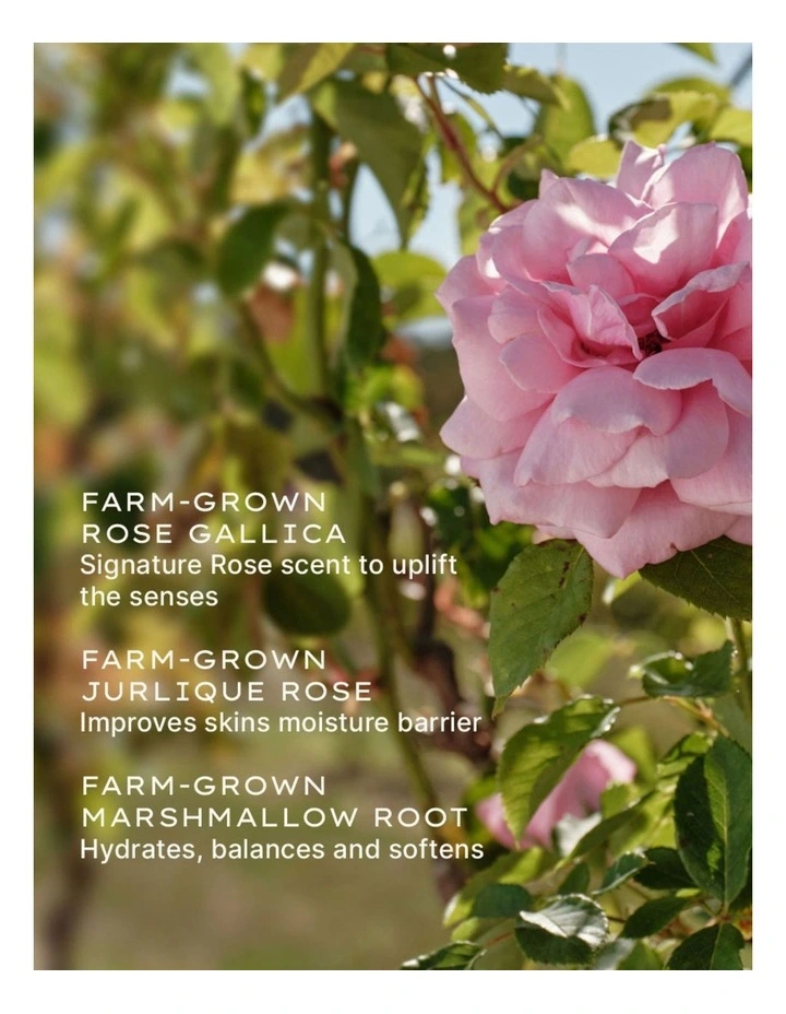Rare Rose Serum 30ml image 4