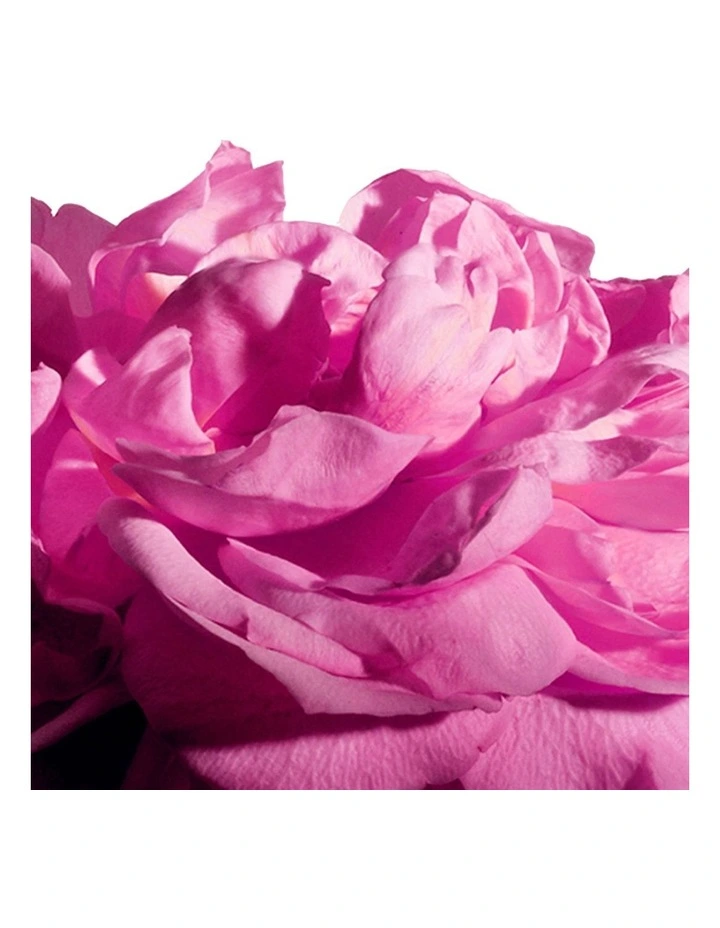 Radical Rose Extrait Parfum image 3