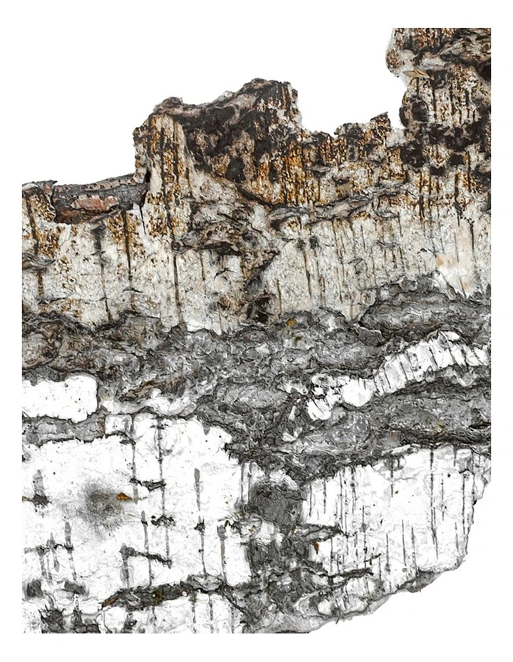 Falcon Leather Extrait image 3