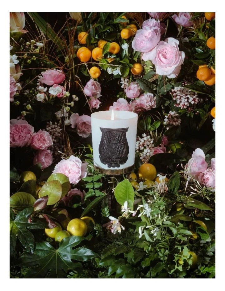 Giambattista Valli Rose Poivree Candle 270g image 3