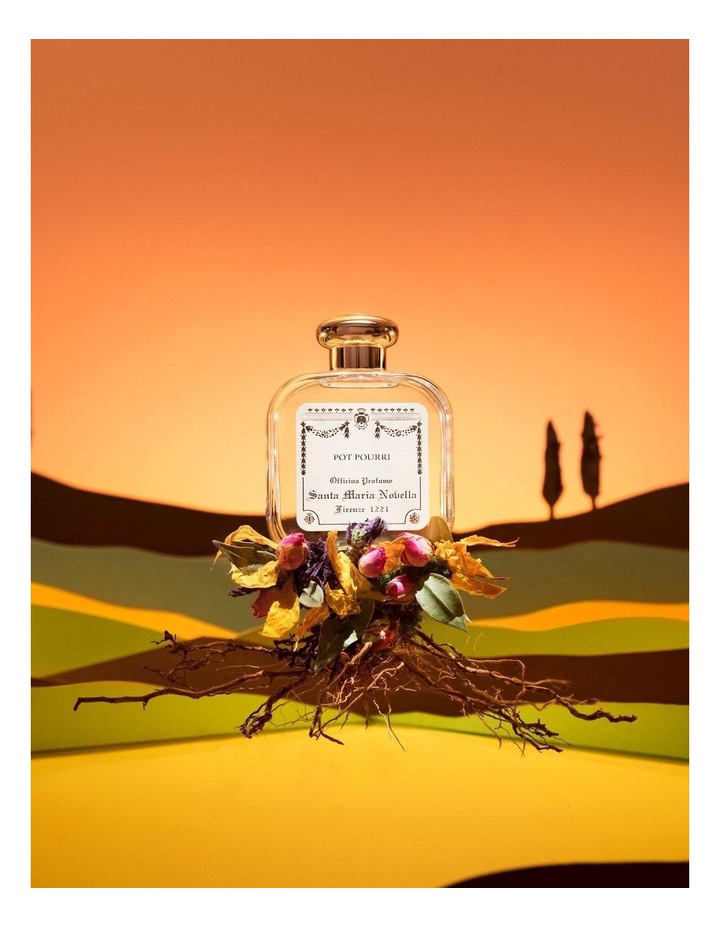 Santa Maria Novella Pot Pourri 100ml EDC | MYER
