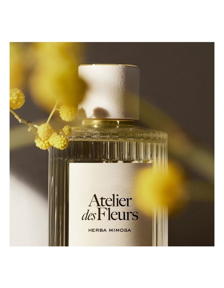 CHLOÉ Atelier Des Fleurs Herba Mimosa Eau De Parfum | MYER