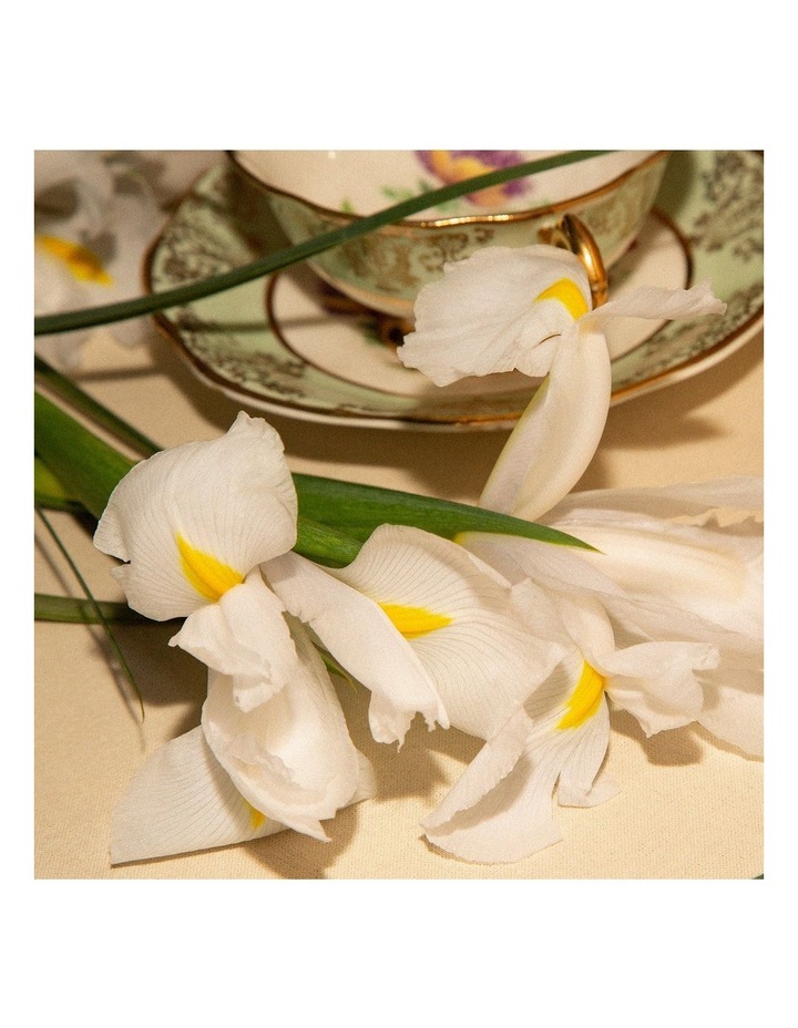 gucci bloom 100ml myer