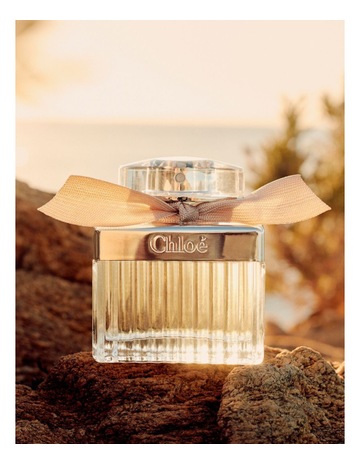 CHLOÉ | MYER