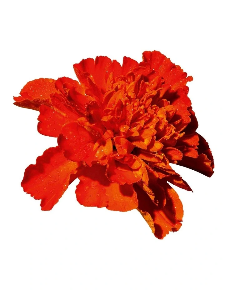 Touche Eclat Le Teint Foundation