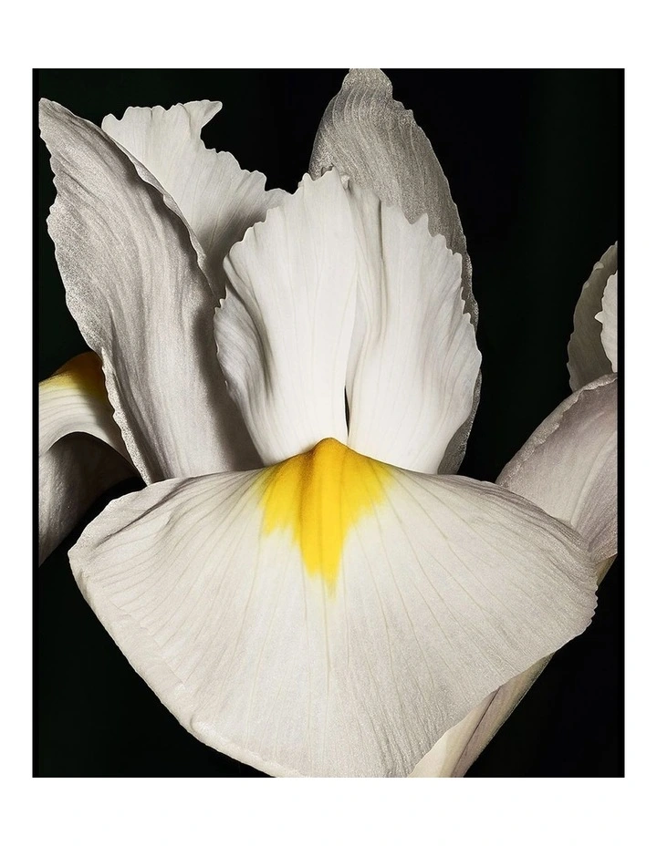 Le Vestiaire Des Parfums Coeur image 4
