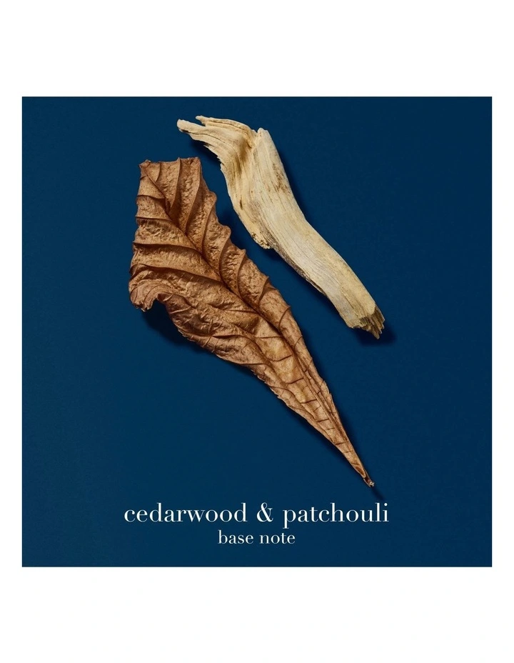 Acqua Di Gio Homme Profondo Eau De Parfum image 5