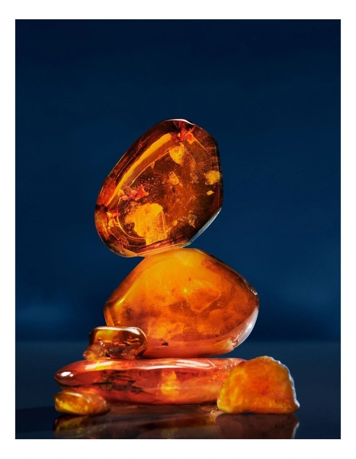 Polo 67 Eau De Parfum image 3