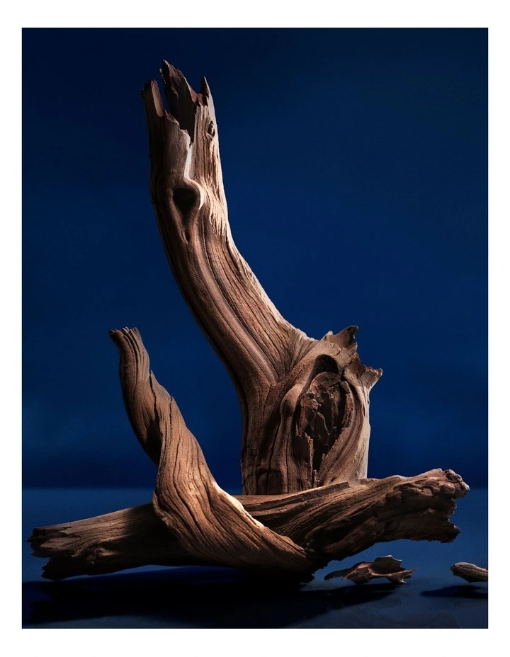 Polo 67 Eau De Parfum image 4