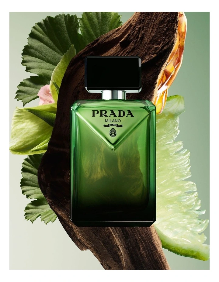 Paradigme EDP image 6