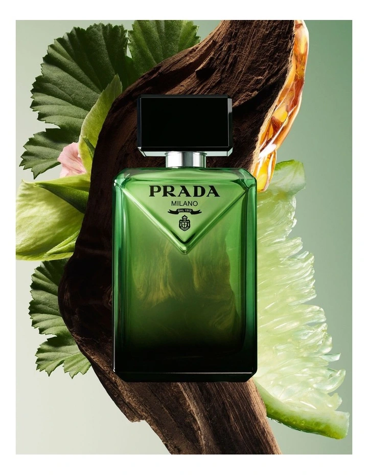 Paradigme EDP image 6