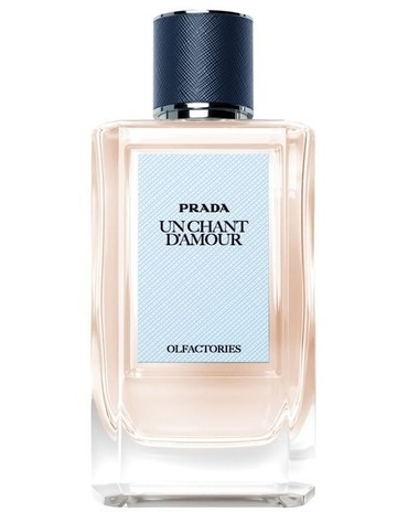 Prada Beauty Olfactories Cargo De Nuit Eau De Parfum 100ml | MYER