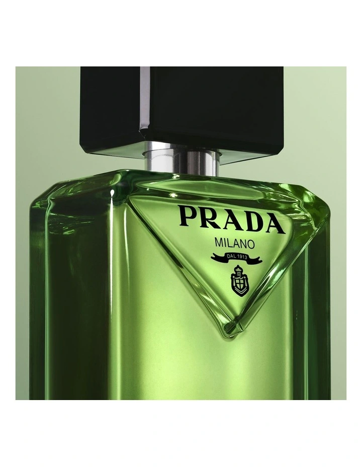 Paradigme EDP V100 V10 H26 image 6