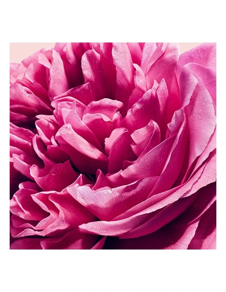 Flowerbomb EDP Giftset (50ml 10ml) image 3