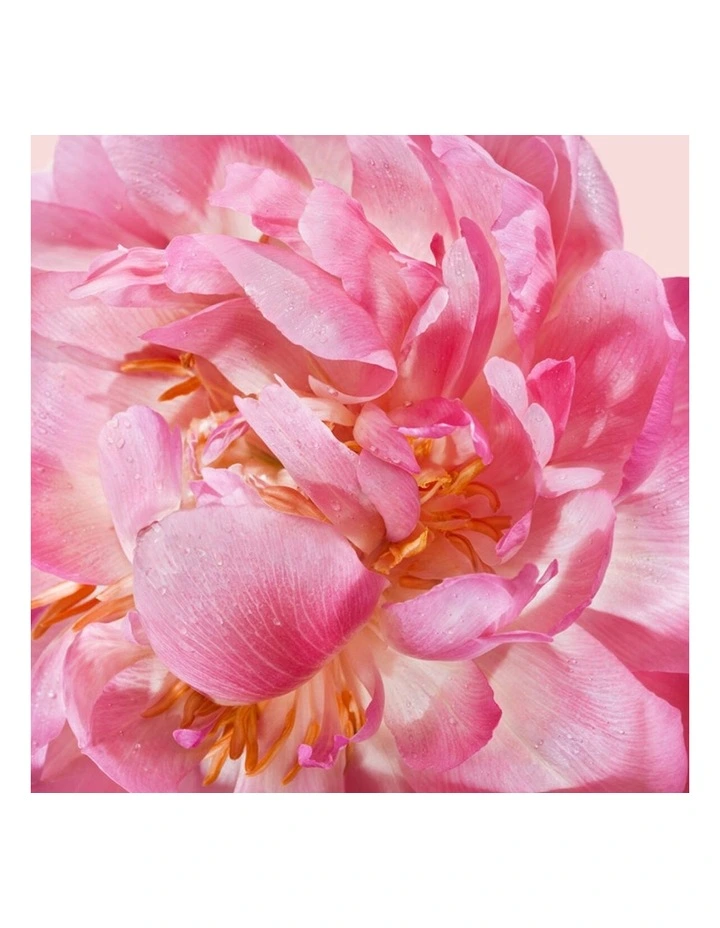 Flowerbomb EDP Giftset (30ml  Body Lotion   Body Cream) image 4
